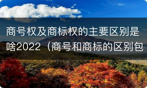 商号权及商标权的主要区别是啥2022（商号和商标的区别包括）