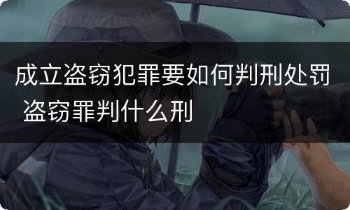 成立盗窃犯罪要如何判刑处罚 盗窃罪判什么刑