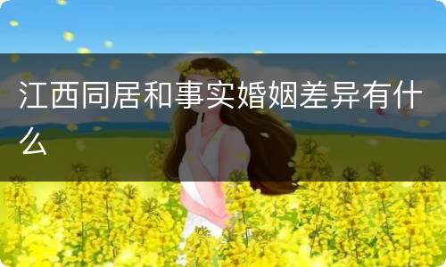 江西同居和事实婚姻差异有什么