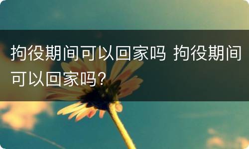 拘役期间可以回家吗 拘役期间可以回家吗?