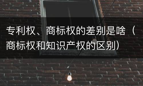 专利权、商标权的差别是啥（商标权和知识产权的区别）