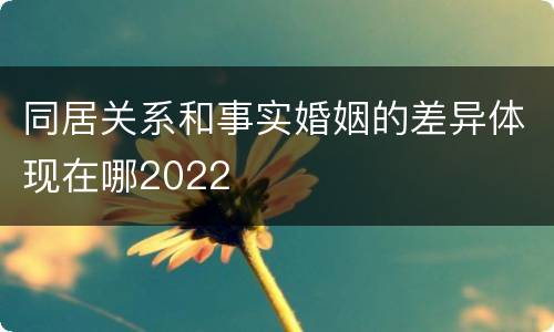 同居关系和事实婚姻的差异体现在哪2022