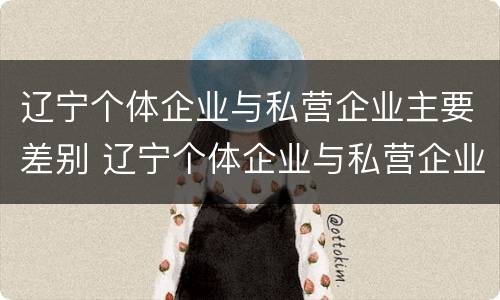 辽宁个体企业与私营企业主要差别 辽宁个体企业与私营企业主要差别有哪些
