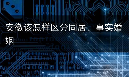 安徽该怎样区分同居、事实婚姻