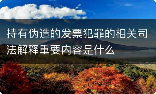 持有伪造的发票犯罪的相关司法解释重要内容是什么