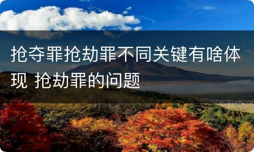 抢夺罪抢劫罪不同关键有啥体现 抢劫罪的问题