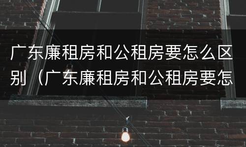 广东廉租房和公租房要怎么区别（广东廉租房和公租房要怎么区别呢）