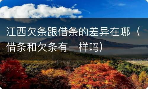 江西欠条跟借条的差异在哪（借条和欠条有一样吗）