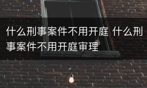 什么刑事案件不用开庭 什么刑事案件不用开庭审理