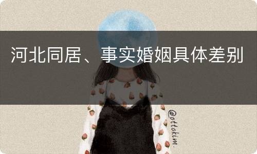 河北同居、事实婚姻具体差别