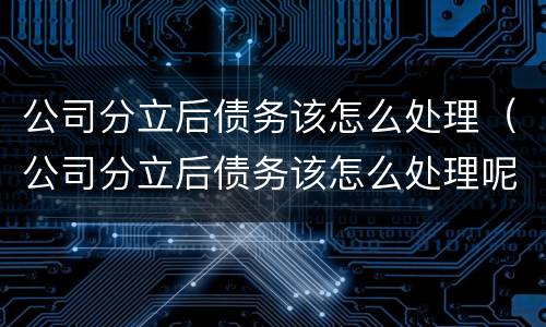 公司分立后债务该怎么处理（公司分立后债务该怎么处理呢）