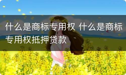 什么是商标专用权 什么是商标专用权抵押贷款