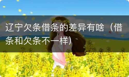 辽宁欠条借条的差异有啥（借条和欠条不一样）