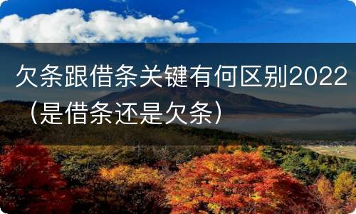 欠条跟借条关键有何区别2022（是借条还是欠条）