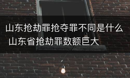 山东抢劫罪抢夺罪不同是什么 山东省抢劫罪数额巨大