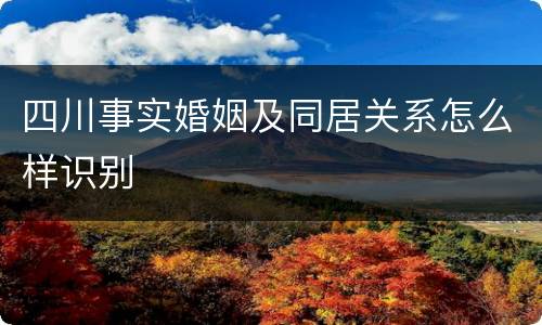四川事实婚姻及同居关系怎么样识别