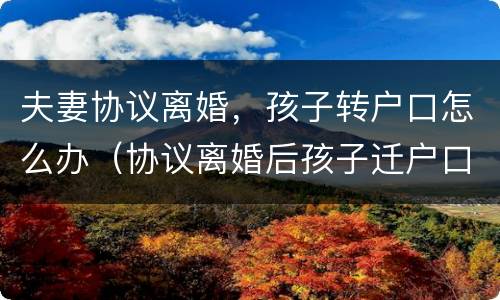 夫妻协议离婚，孩子转户口怎么办（协议离婚后孩子迁户口需要什么手续）
