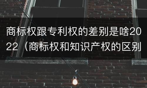 商标权跟专利权的差别是啥2022（商标权和知识产权的区别）