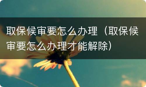 取保候审要怎么办理（取保候审要怎么办理才能解除）