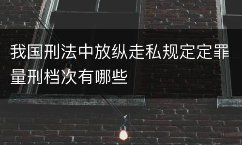 我国刑法中放纵走私规定定罪量刑档次有哪些
