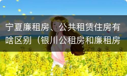 宁夏廉租房、公共租赁住房有啥区别（银川公租房和廉租房的区别）