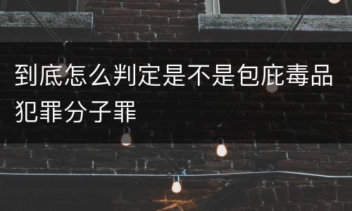 到底怎么判定是不是包庇毒品犯罪分子罪