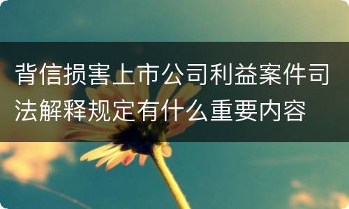 背信损害上市公司利益案件司法解释规定有什么重要内容