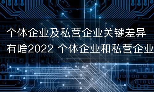 个体企业及私营企业关键差异有啥2022 个体企业和私营企业