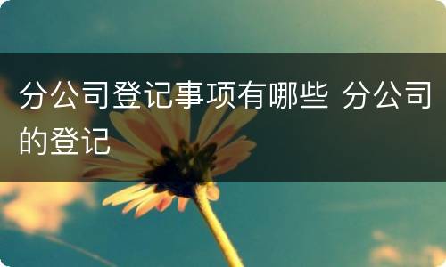 分公司登记事项有哪些 分公司的登记