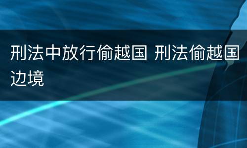 刑法中放行偷越国 刑法偷越国边境