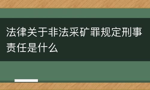 法律关于非法采矿罪规定刑事责任是什么