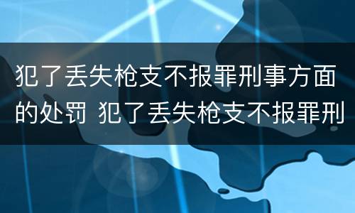 犯了丢失枪支不报罪刑事方面的处罚 犯了丢失枪支不报罪刑事方面的处罚决定书