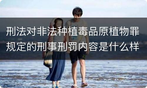 刑法对非法种植毒品原植物罪规定的刑事刑罚内容是什么样的