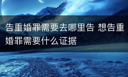 告重婚罪需要去哪里告 想告重婚罪需要什么证据