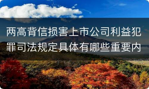 两高背信损害上市公司利益犯罪司法规定具体有哪些重要内容