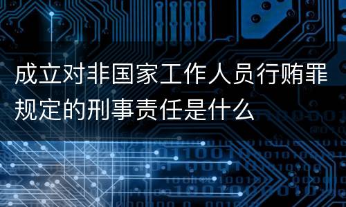 成立对非国家工作人员行贿罪规定的刑事责任是什么