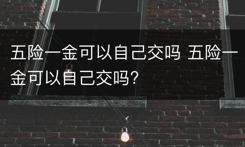 五险一金可以自己交吗 五险一金可以自己交吗?