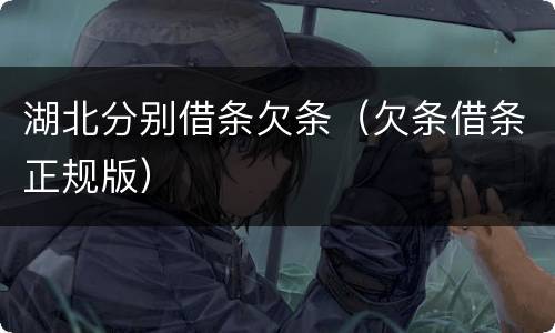 湖北分别借条欠条（欠条借条正规版）