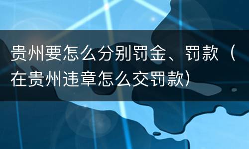 贵州要怎么分别罚金、罚款（在贵州违章怎么交罚款）