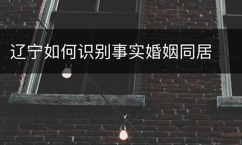 辽宁如何识别事实婚姻同居