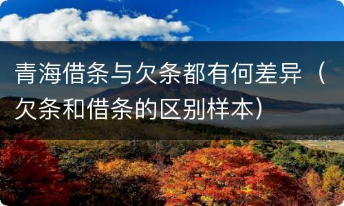 青海借条与欠条都有何差异（欠条和借条的区别样本）