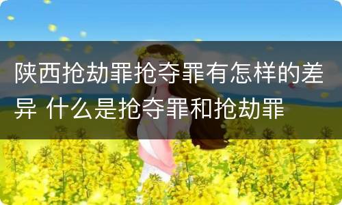 陕西抢劫罪抢夺罪有怎样的差异 什么是抢夺罪和抢劫罪