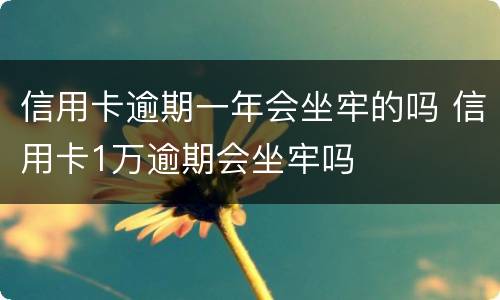 信用卡逾期一年会坐牢的吗 信用卡1万逾期会坐牢吗