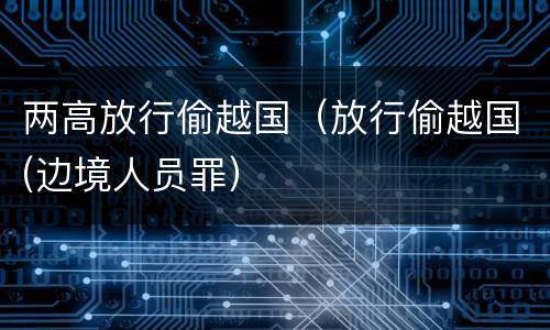 两高放行偷越国（放行偷越国(边境人员罪）