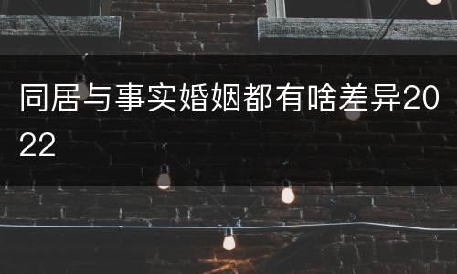 同居与事实婚姻都有啥差异2022