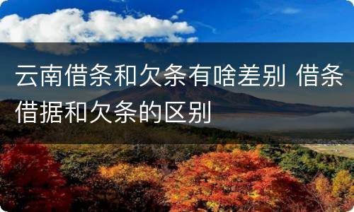 云南借条和欠条有啥差别 借条借据和欠条的区别