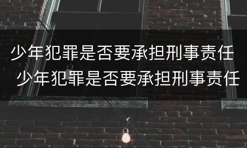 少年犯罪是否要承担刑事责任 少年犯罪是否要承担刑事责任呢