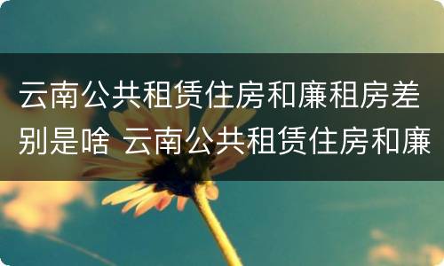 云南公共租赁住房和廉租房差别是啥 云南公共租赁住房和廉租房差别是啥呢