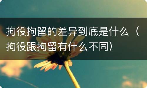 拘役拘留的差异到底是什么（拘役跟拘留有什么不同）