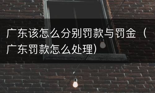 广东该怎么分别罚款与罚金（广东罚款怎么处理）